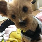 はやし みお - Instagram Profile Picture of はやし みお (@mio_h0508) on Instagram