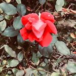 Profile Picture of darby Edwards (@darbles_wonderful_photos) on Instagram