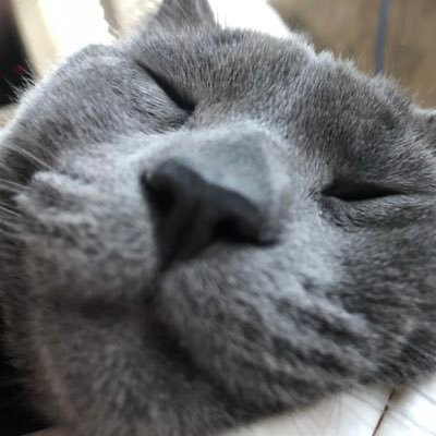 Profile Picture of Brett Barber (@Qwedsan) on Twitter