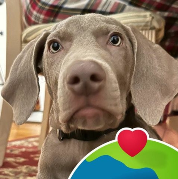 Profile Picture of Jeffrey Govier (@jeffreygovier) on Poshmark