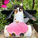 Profile Picture of Clarissa Goff-Mullennix (@cchrism) on Pinterest