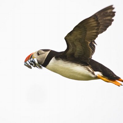 Colin Hewitt - Twitter Profile Picture of Colin Hewitt (@Col_at_uol) on Twitter