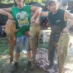 Profile Picture of Joe Rickman (@joe.rickman2) on Instagram