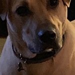 Profile Picture of John Mctiernan (@john_mct) on Instagram