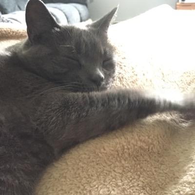 Profile Picture of Rona Lisa Peretti (@realestategurl1) on Twitter