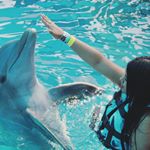 Profile Picture of Laura Carvajal (@laura_carvajal22) on Instagram