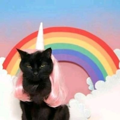 Profile Picture of Um Alien Muito Loko👽😜 (@kim_samyra) on Twitter