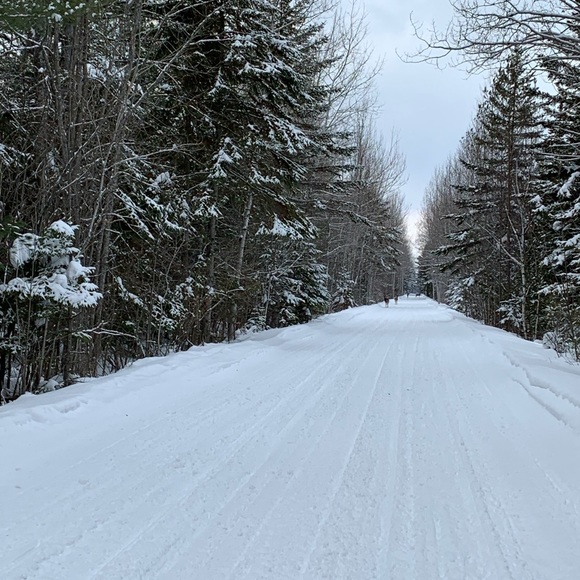 Profile Picture of Anna Chadwick (@annamarie_19) on Poshmark