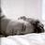 Profile Picture of Miguel Enrico Gonzales (@miguel_enrico) on Flickr