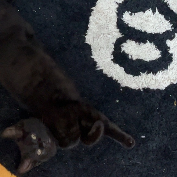 Profile Picture of Derix Mercado (@derixmercado) on Poshmark