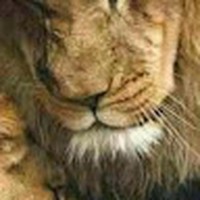 Profile Picture of Trent Shorter (@trent-shorter-1) on Quora