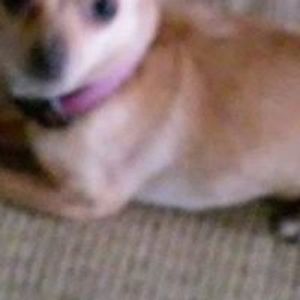 Profile Picture of James Mauk (@james.mauk.581) on Myspace