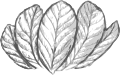 Profile Picture of Bradgatiaon Wikipedia