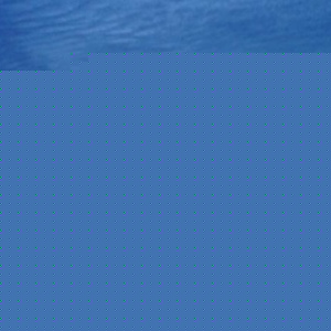 Profile Picture of Sean Rousseau (@papa_burgandy) on Myspace