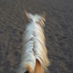 Profile Picture of Isaiah ethington (@isaiahethinton243) on Instagram