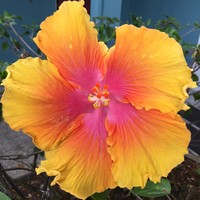 Profile Picture of Josie Mota (@josie-mota-1) on Quora