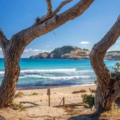 Profile Picture of Michael Heiermann (@michael.heiermann5) on Tiktok