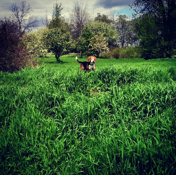 Profile Picture of Marissa Popour (@mpopour) on Poshmark