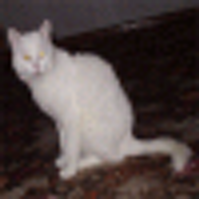 Profile Picture of Cary Newton (@isurutd) on Twitter