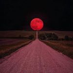 Profile Picture of James Frearson (@jamesdfrearson) on Instagram
