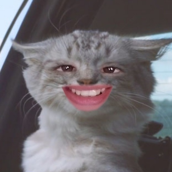 Profile Picture of Colby Dahdah (@xdahdah) on Poshmark