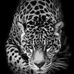 Profile Picture of Jeff Petrie (@jeff.petrie.545) on Facebook