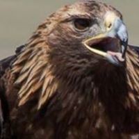 Profile Picture of Eric Sousa (@eric-sousa-18) on Quora