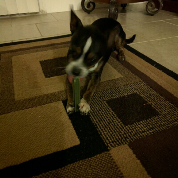 Michelle Lungren - Poshmark Profile Picture of Michelle Lungren (@lungren1176) on Poshmark