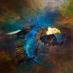 Profile Picture of Scott Shuey (@scott.schuey.5) on Facebook