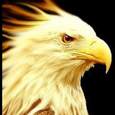 Profile Picture of Alex C Mclachlan (@mcgeeF1_) on Twitter