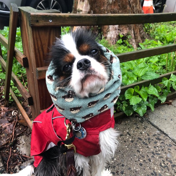 Profile Picture of Tamaki Shimada (@tamakohan) on Poshmark