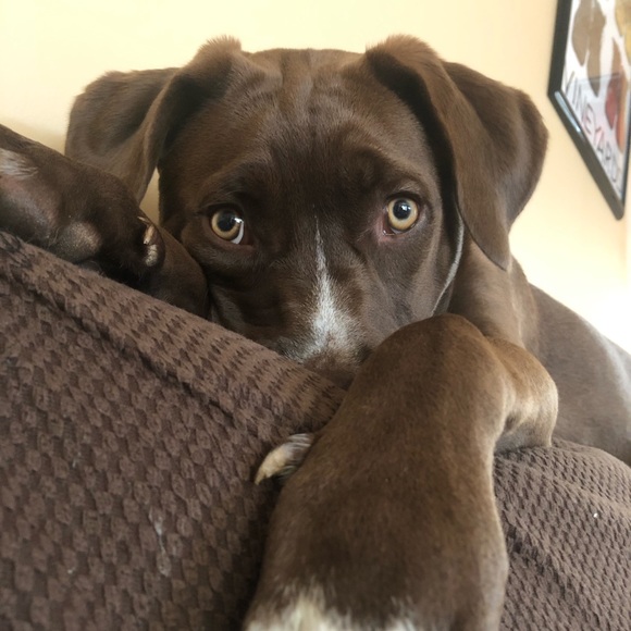 Graeme Robinson - Poshmark Profile Picture of Graeme Robinson (@grobinson16) on Poshmark