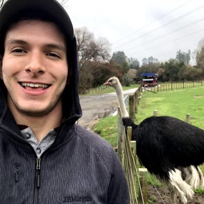 Profile Picture of Matt McHugh (@mattbmcq) on Twitter