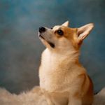 Profile Picture of Andy.FRL (@andy.frl) on Instagram