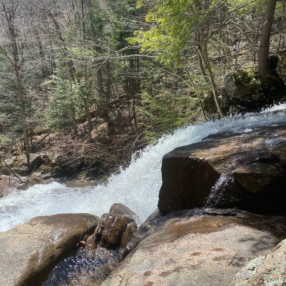 Profile Picture of Lisa Berls (@ltberls) on Poshmark