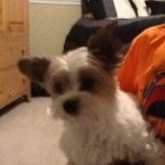 Profile Picture of Mason (@mason_christopher_rocks) on Instagram