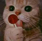 Profile Picture of Julia Beyber (@Julia-Beyber) on Facebook