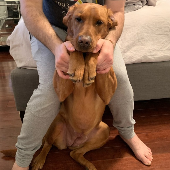 Profile Picture of Chris Branco (@chrisbranco) on Poshmark