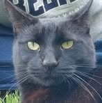 Profile Picture of Michael Walach (@michael.walach.3) on Facebook