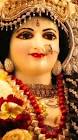 Profile Picture of   Vasundhara Singh Parihar... (@vasundharasinghpa) on Tiktok