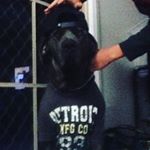 Profile Picture of Beau_weaver (@beau_weaver) on Instagram