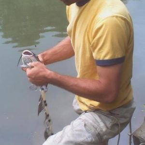 Profile Picture of Bob Bob (@vannatter_adam) on Myspace