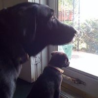 Profile Picture of John Kallas (@john-kallas-3) on Quora