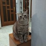 Richard-Stuart Castle - Instagram Profile Picture of Richard-Stuart Castle (@king_richard_stuart) on Instagram