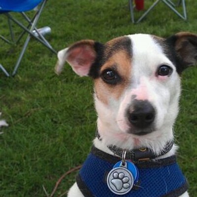 Profile Picture of Robert Hopkins (@cofooligan) on Twitter