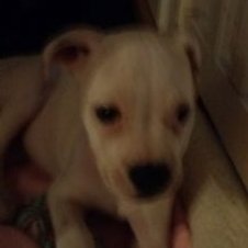 Profile Picture of Marilyn Rohr (@RohrMarilyn) on Twitter