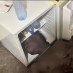 Profile Picture of Patrick Walsh (@steven.green.600560) on Facebook