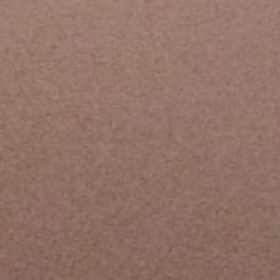 Profile Picture of Zach (@NicholasSpeer3) on Twitter