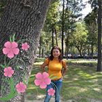 Profile Picture of Alma Fierro (@fierro6905) on Instagram