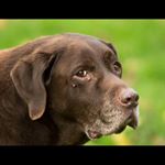 Profile Picture of Lisa Bartlett (@lisa.bartlett.9678) on Instagram